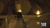 Gusto di Vino: il Verdicchio