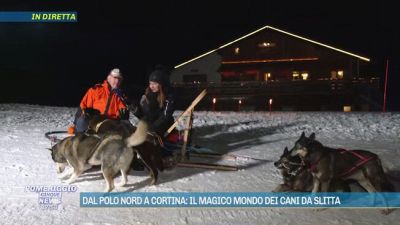 Dal Polo Nord a Cortina: il magico mondo dei cani da slitta