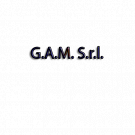 G.A.M.