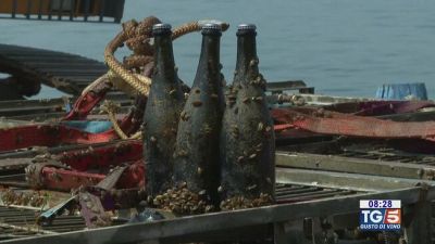 Gusto Di Vino: un tesoro in fondo al lago