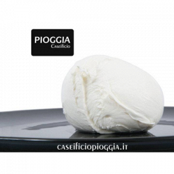 Caseificio Pioggia logo