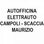 Autofficina Elettrauto Campoli - Scaccia Maurizio