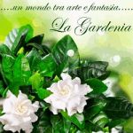 Fioraio La Gardenia