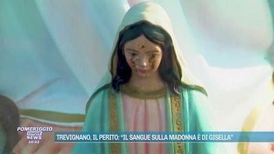 Trevignano, il perito: "Il sangue sulla Madonna è di Gisella"