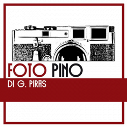 Foto Pino logo