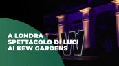 A Londra spettacolo di luci ai Kew Gardens