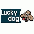Lucky Dog Il Salottino
