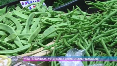 Dieta vegetariana: è solo una moda o una scelta sostenibile?
