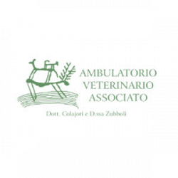 Ambulatorio Veterinario Associato di Colajori – Zubboli logo