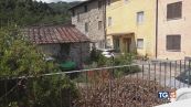 Salva bimbo dal lupo la morte del cane eroe