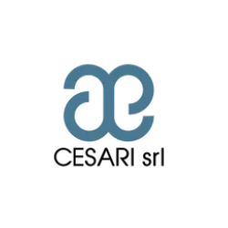 Cesari S.r.l. logo