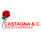 Societa' Agricola Castagna & C. S.S.