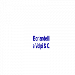 Borlandelli e Volpi logo