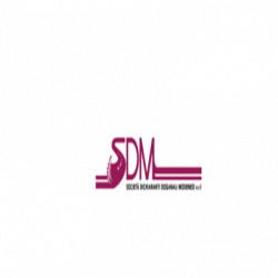 Sdm Societa' Dichiaranti Doganali Modenesi logo