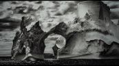 I ghiacciai di Salgado, al Mart e al Muse fotografia per il clima