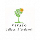 Vivaio Bellucci e Stefanelli