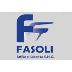 Termoidraulica Fasoli logo