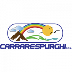 Carrare Spurghi logo