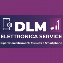 DLM Elettronica Service logo