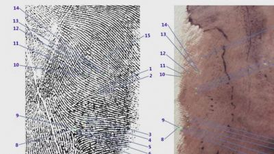 Il dna sotto le unghie di Chiara, le tracce e le impronte nella villetta