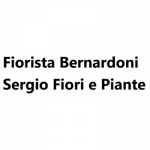 Fiorista Bernardoni Sergio Fiori e Piante