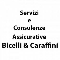 Servizi e Consulenze Assicurative di Bicelli Elisabetta & C. sas logo