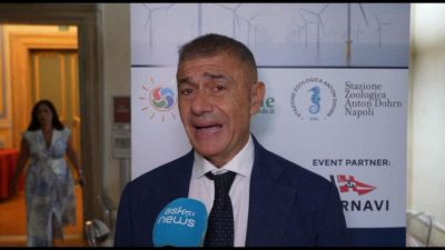 Rinnovabili, Pecoraro: da Sicilia grande contributo innovazione