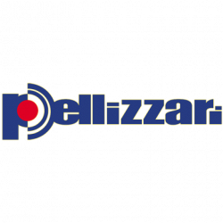 P.T.S. Pellizzari Tecnologie di Sicurezza logo