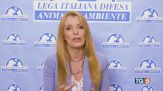 Reati contro animali carcere e maxi multe