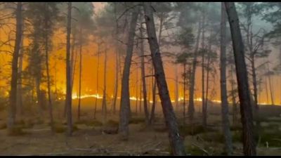 Vasto incendio nella foresta di Fontainebleau alle porte di Parigi