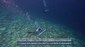Maldive, cinque italiani morti durante un'immersione