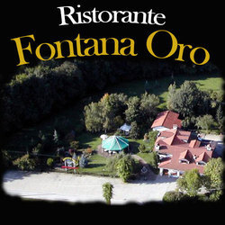 Ristorante Fontana Oro logo