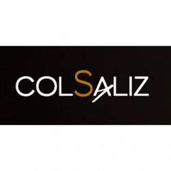 Vendita On Line Prosecco Valdobbiadene Colsaliz logo