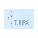 Fioreria Tulipa