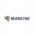 Officina Autoriparazioni Mancini