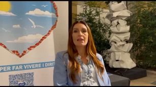 Campagna PMA per tutte, "Io madre fuorilegge, 25 aerei per mio figlio"