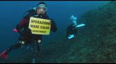 Greenpeace: mari italiani più caldi, danni ai fondali