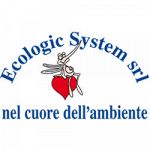 Ecologic System