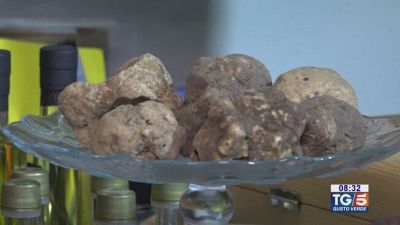 Gusto Verde - Il tartufo