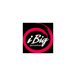 I BIG Parrucchieri logo