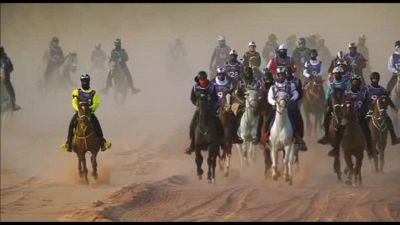 Endurance equestre, Fursan Cup 2024: made in Italy in Arabia