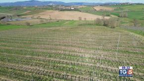 Gusto di Vino: il Sirah