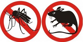 VALLIS MEA - Disinfestazione derattizzazione, lotta contro insetti parassiti ratti allontanamento volatili, sanificazione disinfezione.