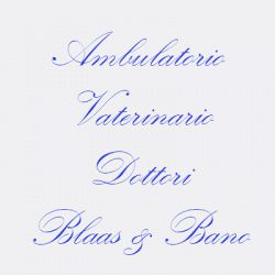 Ambulatorio Veterinario Blaas - Bano logo