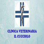 Clinica Veterinaria Il Cucciolo