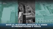 Bove riparte da Watford