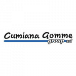 Cumiana Gomme Group