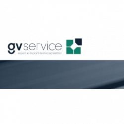 Gv Service logo