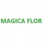Magica Flor