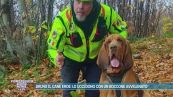 Bruno il cane eroe: lo uccidono con un boccone avvelenato